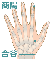 美容健康ツボ道場 | 商陽(しょうよう)､合谷(ごうこく)の場所